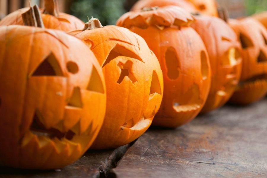 Carved pumkins in a row, with different designs.